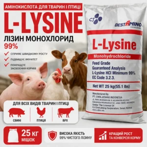 Лізин Монохлорид
