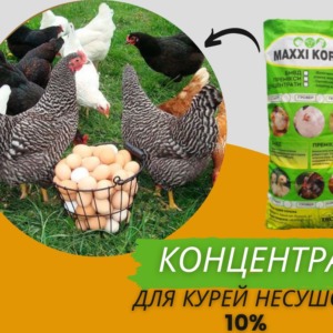 Високобілковий Концентрат 10% для курей несучок