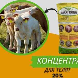 Високобілковий Концентрат 20% для телят, бичків Старт
