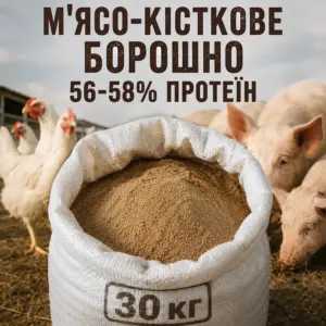 М'ясо-кісткове борошно 56-58% протеїну