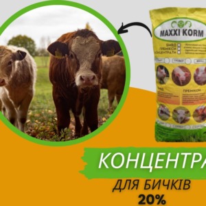 Високобілковий Концентрат 20% для відгодівлі бичків