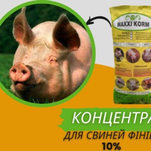 Високобілковий Концентрат 10% для свиней Фініш (від 60 кг)