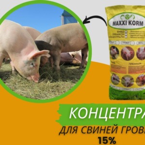 Високобілковий Концентрат 15% для свиней Гровер (30-60 кг)