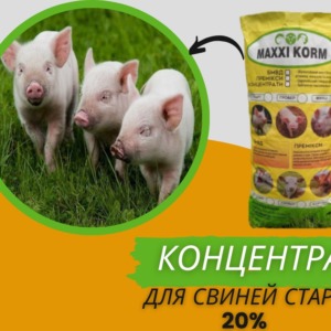 Високобілковий Концентрат 20% для поросят (старт)