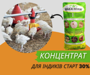 Концентрат для индюков Старт 30%