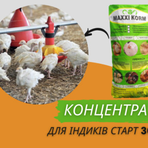 Концентрат для індиків Старт 30%