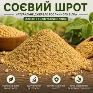 Соєвий шрот (48-51% протеїн, без ГМО)