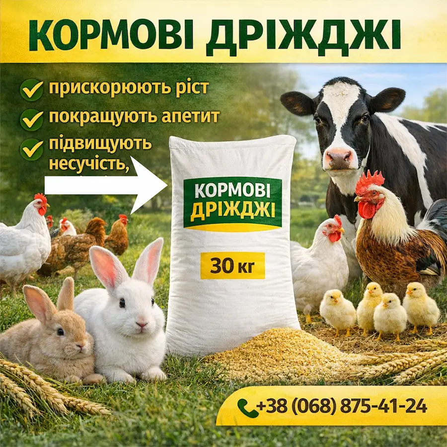 Кормові дріжджі для сайту КОРМОВЫЕ ДРОЖЖИ